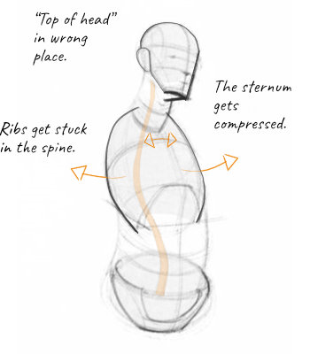 organizing a rib cage