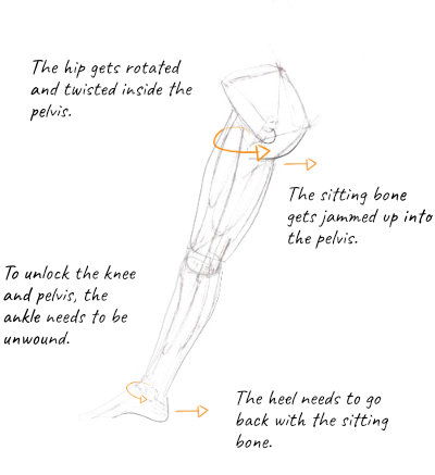 organizing an inner leg