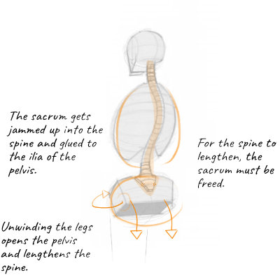 organizing a posterior leg