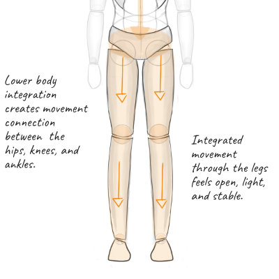 integration: the legs