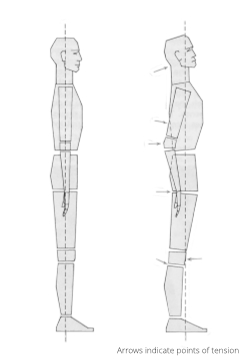sideview of a balanced human body