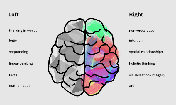 functional differences between left and right brain
